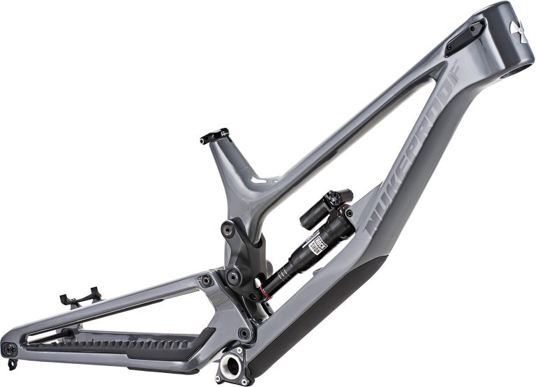 Dissent 297-290 Frame Only (4)