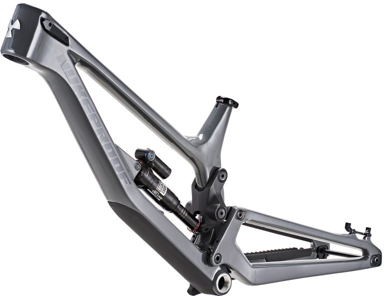 Dissent 297-290 Frame Only (8)