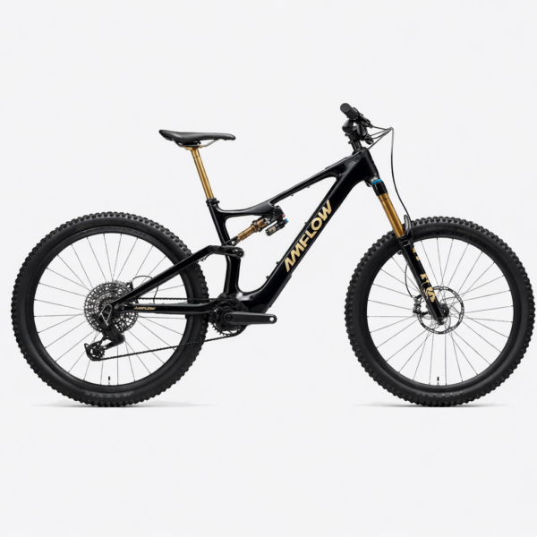 Rower Elektryczny Amflow Pro